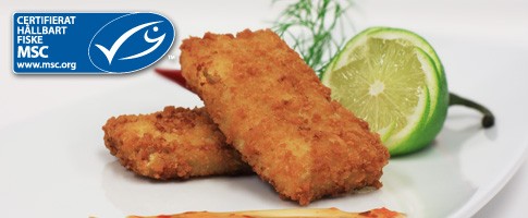 3317 - Sejcrispie, MSC, förstekt