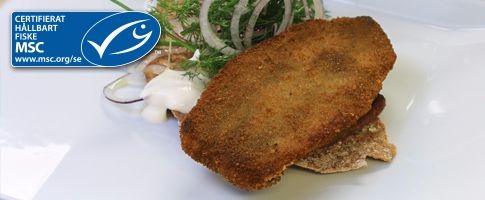 6307 - Sillflundra förstekt MSC