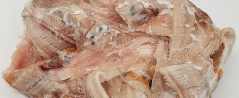 9195 - Fiskben (av Ädelben) MSC