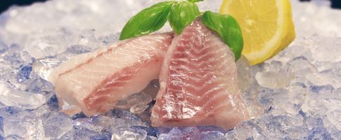 93124 - Sejloins utan skinn MSC